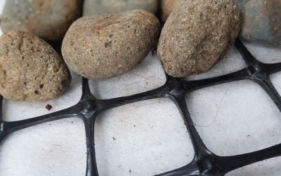 Mengenal Apa Itu Geogrid dan Fungsi nya