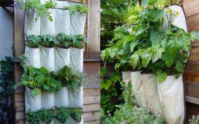 Geotextile Untuk Vertical Garden (Taman Vertical)